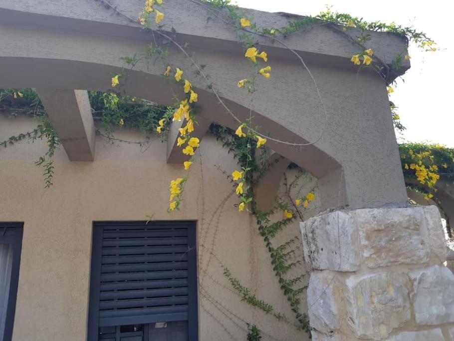 Hadar Rest & Relax Apartment Kefar Hittim ภายนอก รูปภาพ
